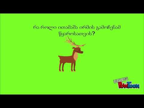 \'მთის წყარო\'  ვაჟა–ფშაველა